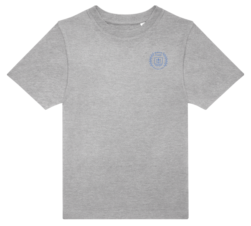 Rasos progimnazija pilki marskineliai Rasos progimnazija pilki marskineliai